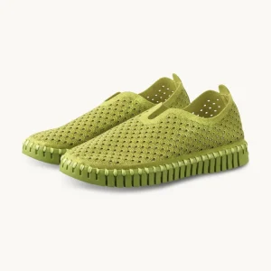 Tulip Glitter Tonal - Spinach Green Spinach Green