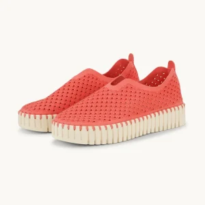 Platform Tulip Sko - Raspberry