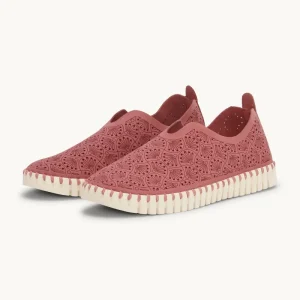 Tulip Organic Flat - Rouge Pearled Ivory
