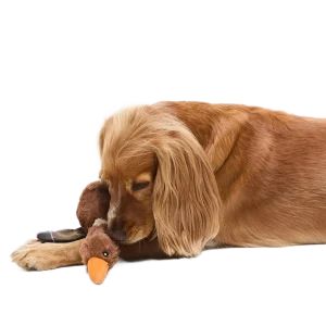 Flying Duck