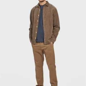 Venza chino